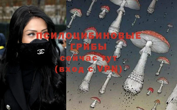 mdma Инта